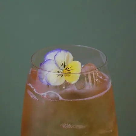 朱勒吉姆酒店 4* 巴黎