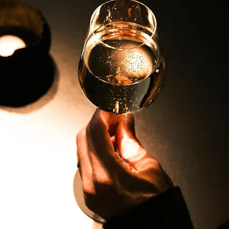 朱勒吉姆酒店 4* 巴黎