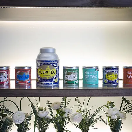 朱勒吉姆酒店 酒店 巴黎